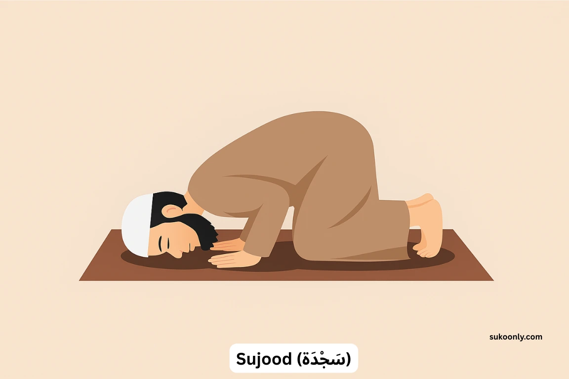 Muslim man in Sujood prostration position during Salah with forehead, nose, palms, knees and toes on the ground