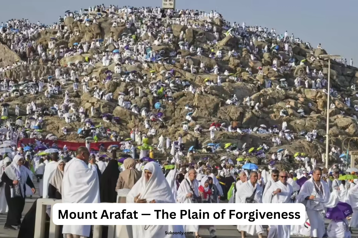 Mount Arafat — The Plain of Forgiveness
