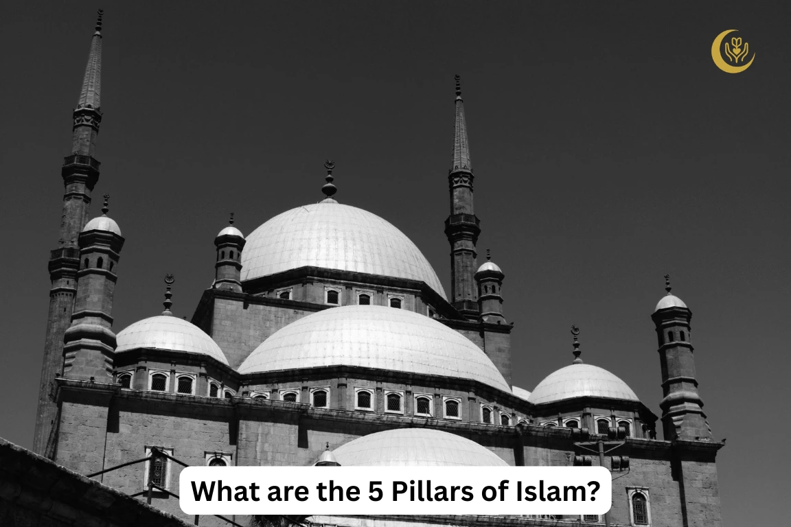 What are the 5 Pillars of Islam