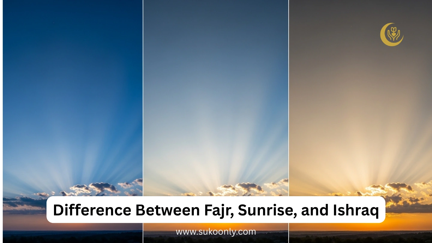 Difference Between Fajr, Sunrise, and Ishraq