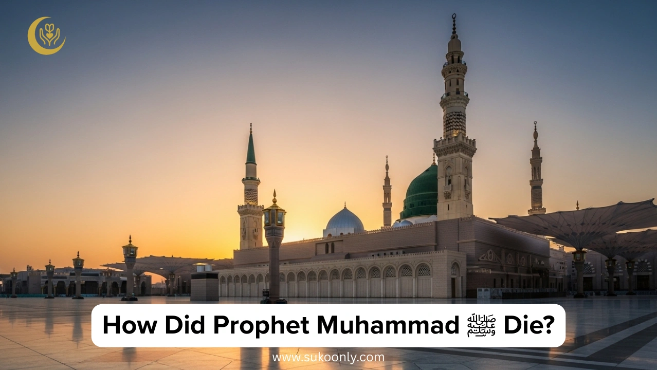 How Did Prophet Muhammad ﷺ Die