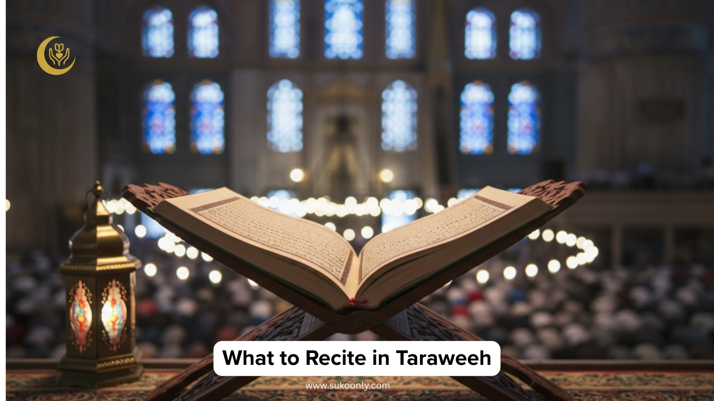 What to Recite in Taraweeh
